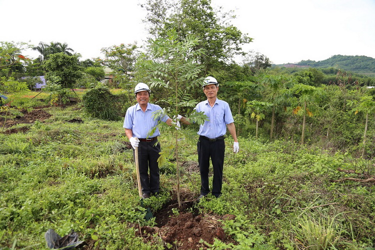 SDV hưởng ứng ngày môi trường thế giới hình 6