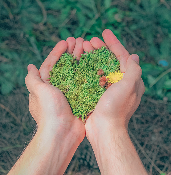 Sứ mệnh của công ty Sonadezi SDV